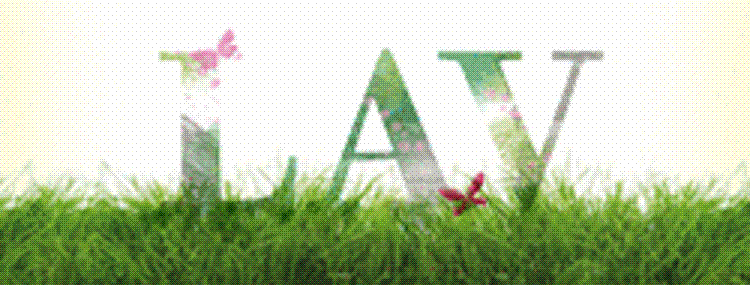 lav
